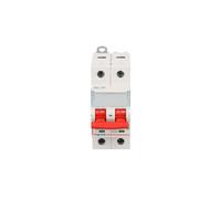 Module Disconnect Switch 63A 2P 16kA FRX302 Disconnect 406528