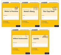 Modules 16-20 Mixed Pack of 5 (1 of each title) (Read Write Inc. Comprehension 2nd Edition)