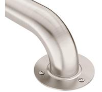Moen LR7518 Home Care 18-Inch Grab Bar, Stainless Steel