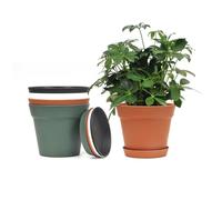 MoFarbe 6inch Small Plastic Planters Plant Pots - Indoor Plant Pot Set of 4 Flower Pot with Drainage Hole and Saucer, Decorative Nursery Pot Bulk for Flower Aloe Herbs (colorful)