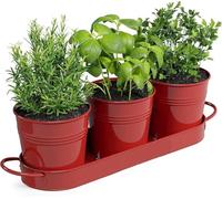 MoFarbe Herb Pots for Kitchen & Windowsill | Kitchen Herb Garden | Indoor Herb Planter | Includes Drain Hole | Flower Pots Garden Pots for Basil, Mint, Parsley and More (Red)