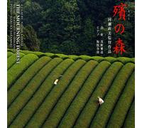 Mogari No Mori-The Mourning Forest