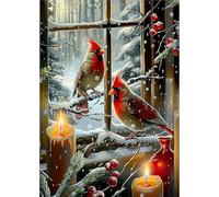 MOGTAA Christmas Cardinal Diamond Art Painting Kits for Adults, Winter Landscape DIY 5D Diamond Painting Kits for Adults, Full Drill Diamond Dots Crystal Art Kits for Home Decor Gifts 30x40cm