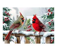 MOGTAA Christmas Cardinal Diamond Art Painting Kits for Adults, Winter Landscape DIY 5D Diamond Painting Kits for Adults, Full Drill Diamond Dots Crystal Art Kits for Home Decor Gifts 30x40cm