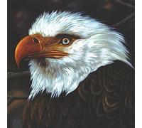 Mogwai - The Hawk Is Howling Ltd. White - Colored 2 Vinyl