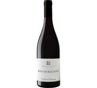 Moillard-Thomas Red Burgundy 2023/24