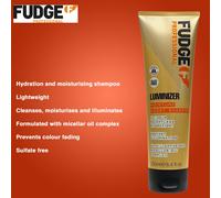 Moisture Boost Shampoo 250ml - Weightless Hydration - Fudge 'Luminizer'