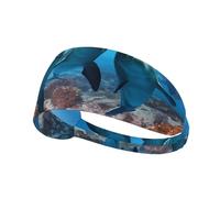 Moisture-wicking headband for running, cycling, fitness and yoga Funny Dolphin Looking at You Printed sports sweatband
