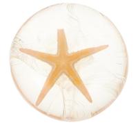 Moisturizing Amino Acid Soap Glycerin Cleanser | Face and Skin Use, Hydrating Gentle Cleansing, Ocean Style Decor, Design
