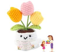 Moiuguli Crochet Tulip Gift for Friend, Thank You Gift with Encouragement Card Mini Emotional Support Gifts for Friends, Handmade Positive Tulip Crochet Cute Friendship Decor for Desk or Car