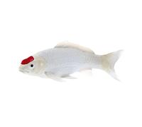 Mojo Fun Koi Carp Tancho Koi Hand-Painted Figurine