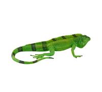MOJO - Iguana | Hand-Painted Toy Figure | Wildlife Collection | True to Life & Highly Detailed | Designed in the UK