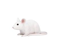 MOJO - Mouse Pet | Hand-Painted Toy Figure | Pet Paradise Collection | True to Life & Highly Detailed | Designed in UK