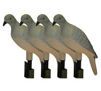 MOJO Outdoors 4-Pack Realistic Dove Decoys with Clip-On Mount - Hard Body Design for Dove Hunting - Fits Branches and Poles