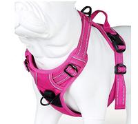 MOKCCI Truelove Soft Front Dog Harness .Reflective No Pull Harness with Handle and 2 Leash Attachments
