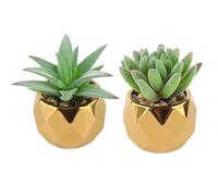 MOKIDO Pack of 2 Artificial Succulents, Artificial Plants, Decorative Plants, Small Artificial Plants in Ceramic Pot, Fake Plants for Bedroom, Living Room, Bathroom and Desk (Green)