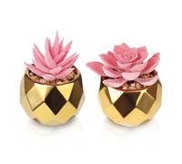 MOKIDO Pack of 2 Artificial Succulents in Ceramic Pot, Decorative Plants for Bedroom, Living Room, Bathroom and Desk (Pink)