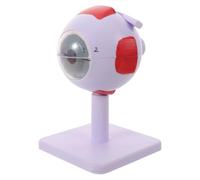 MOKKHNB 3x Enlarged Human Eye Anatomy Model for Biology Teaching, Pvc Reusable Educational Science Display with Clearly Labeled Parts, Dismantlable Design for Anatomy Classroom and School
