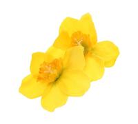 MOKKHNB Charming Narcissus Hairpin Clip Mini Yellow Flower Hair Accessories for Women Cute Floral Barrette for Weddings Parties and Everyday Use