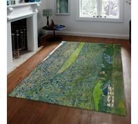 MOKOSAISE Green Botanical Style Area Rug 240x340cm View of a Chateau Unterach on Lake Attersee Carpet for Living Room Bedroom Office Study Washable