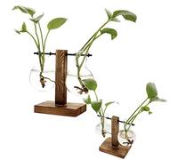 Mokyler 3PCS hydroponic vase,Creative Wooden Frame Green Dill Plant Transparent Glass Flower Arrangement container Plant Terrarium for Office desktop Room home decor retro