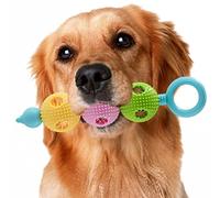 Molar Clean Teeth Rubber Toy, Chew Toy for Dogs for Puppies, Clean Teeth Rubber Pumpkin Chew Toy - Interactive Dog Toy in Natural TRP Dog Pumpkin Shape, Chew Toy for Teething