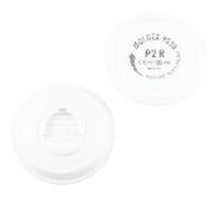 Moldex 9020 Particulate Filters P2R (PR)