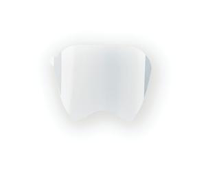 Moldex Series 9000 Faceshield Protector Per/15