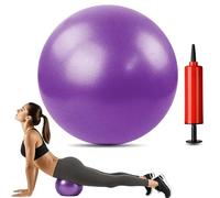 MoldFun Mini Yoga Pilates Ball 9-10 Inch for Stability Exercise Training Gym Anti Burst and Slip Resistant Balls with Inflatable Straw (Purple)