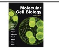 Molecular Cell Biology (International Edition) by Lodish, Harvey [Paperback]