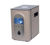 Molecular Hydrogen Inhalation Machine With SPE PEM Technology, 99.99% High Purity Browns Gas, Upgrade 3 Port, 6-Hour Operation, Adjustable Flow(D,1500ml/min)