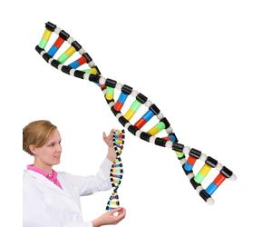 Molecular Model Kit - 5.7x1cm Double Helix Model Component | Educational Game - Human Genes Science | Educational Toy For School Projects And Biology Learning