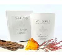 Molecule Botanical Home Fragrance Candle - Beachcombing at Dawn - Infused with Driftwood, Seaweed, and Amber - Long-Lasting Aromatic Candle for a Coastal Ambiance - 220g