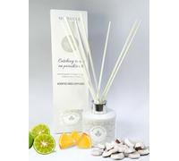 Molecule Botanical Home Fragrance Classic Reed Diffuser - 100ml - Catching Sunset on Paradise Isle - Exotic Bergamot, Orange, and Coconut Blend - Tropical Citrus Scent for a Dreamy Ambiance - 100ml