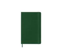Moleskine Daily Planner, 12-Month Daily Agenda 2025, Hard Cover and Elastic Closure, Myrtle Green Color, Large Format 13x21 cm