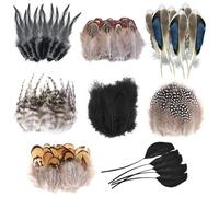 Molirex 160Pcs Feathers for Crafts 8 Styles Pheasant Craft Feathers Goose Feathers for Crafting DIY Dream Catcher Hat Earrings Masks Wedding Home Party Decoration, Brown & Black