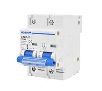 Mollom AC 2 Pole Miniature Circuit Breaker, 110V-240V 100Amps, Scene Visualization Custom MCB Thermal Magnetic Trip, 6KA Breaking Capacity for Solar AC System, Home Use, RVs