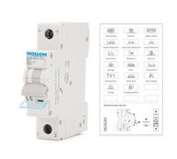 MOLLOM DC 1 Pole Miniature Circuit Breaker, 250V 10Amps, C10 Scene Visualization Custom MCB Thermal Magnetic Trip, 6KA Breaking Capacity DC Disconnect Switch for Solar PV System