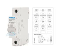MOLLOM DC 1 Pole Miniature Circuit Breaker, 250V 20Amps, C20 Scene Visualization Custom MCB Thermal Magnetic Trip, 6KA Breaking Capacity DC Disconnect Switch for Solar PV System