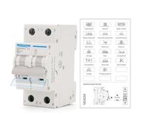 MOLLOM DC 2 Pole Miniature Circuit Breaker, 250V 16Amps, C16 Scene Visualization Custom MCB Thermal Magnetic Trip, 6KA Breaking Capacity DC Disconnect Switch for Solar PV System