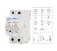 MOLLOM DC 2 Pole Miniature Circuit Breaker, 250V 20Amps, C20 Scene Visualization Custom MCB Thermal Magnetic Trip, 6KA Breaking Capacity DC Disconnect Switch for Solar PV System