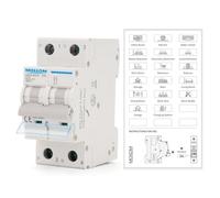 MOLLOM DC 2 Pole Miniature Circuit Breaker, 250V 32Amps, C32 Scene Visualization Custom MCB Thermal Magnetic Trip, 6KA Breaking Capacity DC Disconnect Switch for Solar PV System