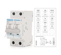 MOLLOM DC 2 Pole Miniature Circuit Breaker, 250V 63Amps, C63 Scene Visualization Custom MCB Thermal Magnetic Trip, 6KA Breaking Capacity DC Disconnect Switch for Solar PV System