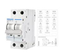 MOLLOM DC 2 Pole Miniature Circuit Breaker,400V 60A, C60 Scene Visualization Custom MCB Thermal Magnetic Trip, 6KA Breaking Capacity DC Disconnect Switch for Solar Photovoltaic System