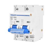 MOLLOM DC 2 Pole Miniature Circuit Breaker, 500V 125Amps, Scene Visualization Custom MCB Thermal Magnetic Trip, 6KA Breaking Capacity DC Disconnect Switch for Solar Photovoltaic System