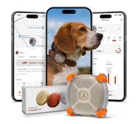 Molly&Cody Smart Dog & Cat GPS Tracker | 4 Smart Modes | Real-Time Tracking | Virtual Fence & Escape Alerts | IP67 Waterproof | Location History & Health Monitoring | Subscription Required | Gold