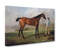Molly Long Legs By George Stubbs Canvas Print | Gallery Wrapped 30mm Frame Wall Art | 30x20 inches | Ready to Hang | Classic Picture | Living Room Bedroom Lounge Office