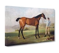 Molly Long Legs By George Stubbs Classic Painting Canvas Wall Art Print Ready to Hang, Framed Picture for Living Room Bedroom Home Office Décor, 20x14 Inch (50x35 cm)