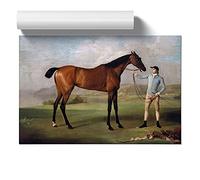 Molly Long Legs By George Stubbs | Unframed Wall Art Print | Ready to Frame Poster | Modern Home Decor Picture | Artwork for Living Room, Bedroom, Kitchen or Office | A4 (21 Ã- 29.7 cm)