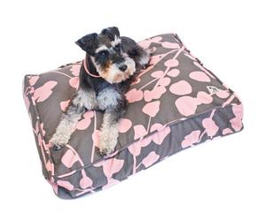 Molly Mutt La vie en Rose Dog Duvet, medium/large